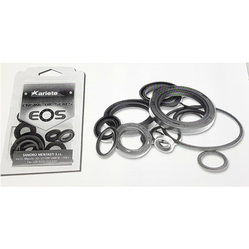 Kits paraoli motore motom - paraoli,